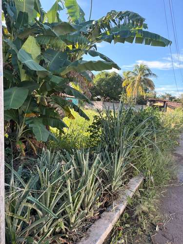 En venta lote en chalatenango las mesas - Imagen 3