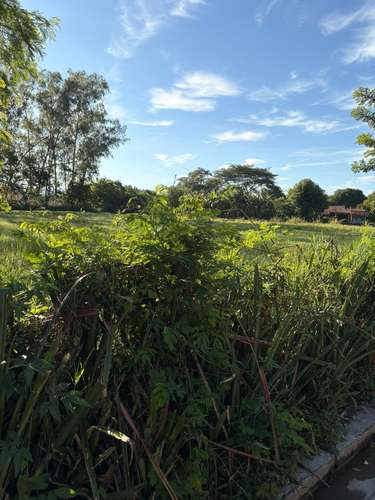 En venta lote en chalatenango las mesas - Imagen 2