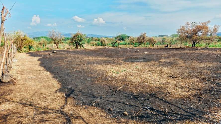 Granga terreno en venta  - Imagen 4
