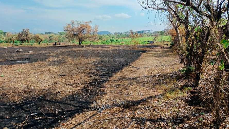 Granga terreno en venta  - Imagen 3