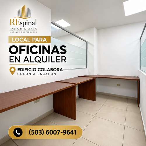 Local para oficina Escalon