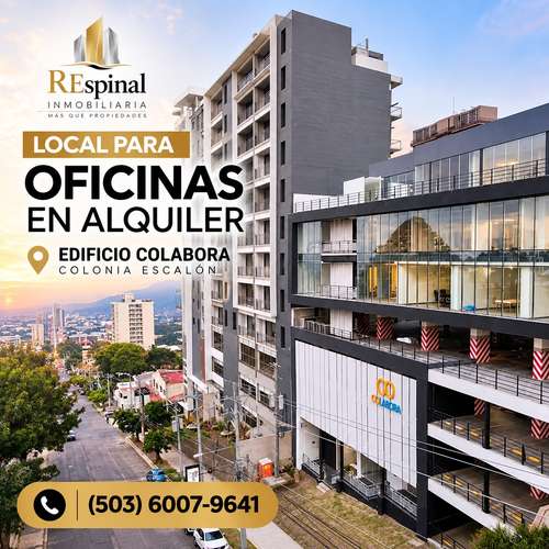 Local para oficina Escalon