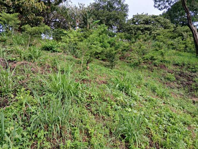 El Congo s/carret. a S.S. terreno 3,500 m² usos varios