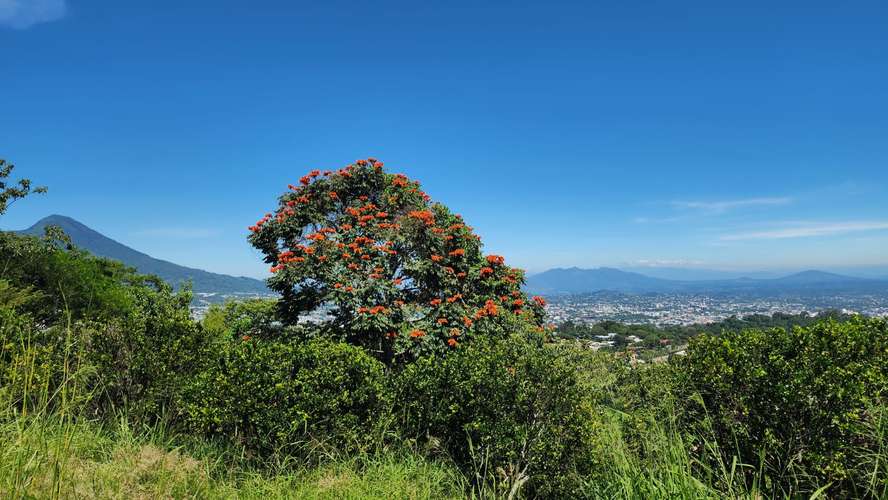 TERRENO EN VENTA PARTE ALTA DE CUMBRES DE LA ESMERALDA