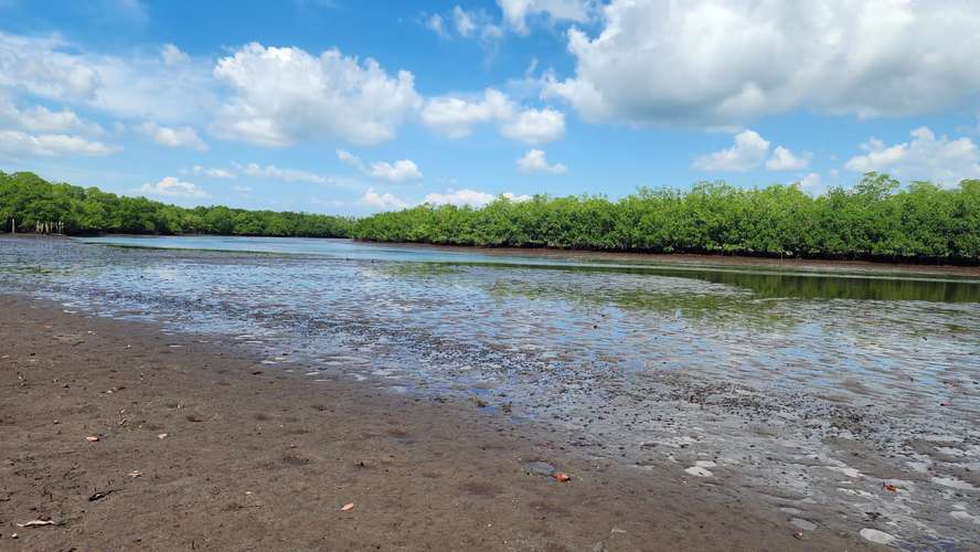 TERRENO EN VENTA EN BAHIA DE JIQUILISCO