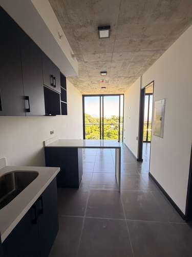  SE ALQUILA APARTAMENTO TORRE CITALA HAUS, COLONIA ESCALON, Carcaterísticas:  -Cocina, comedor y sala integrados  -1 h