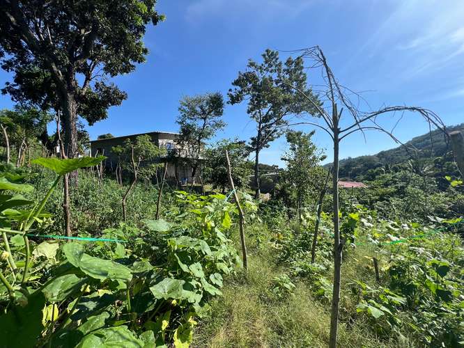 En Venta Lote Urbano Zaragoza