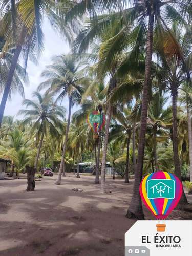 VENDO PRECIOSO TERRENO EN GARITA PALMERA FRENTE AL MAR, AHUACHAPAN - Imagen 5
