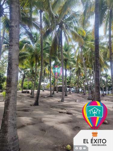 VENDO PRECIOSO TERRENO EN GARITA PALMERA FRENTE AL MAR, AHUACHAPAN - Imagen 6