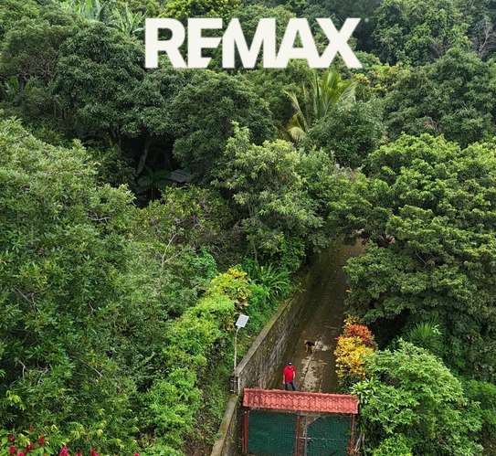 FINCA DE CAFÉ Y FRUTALES EN VENTA EN LA RUTA DE LAS FLORES!**  - Imagen 6