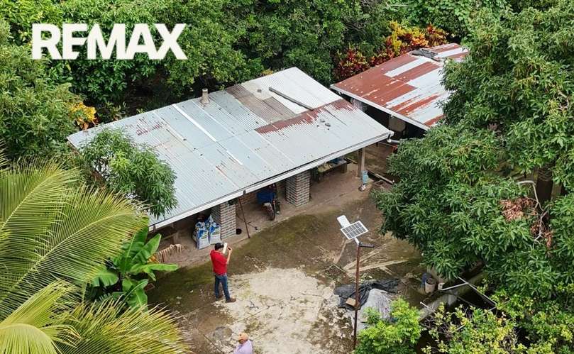 FINCA DE CAFÉ Y FRUTALES EN VENTA EN LA RUTA DE LAS FLORES!**  - Imagen 2