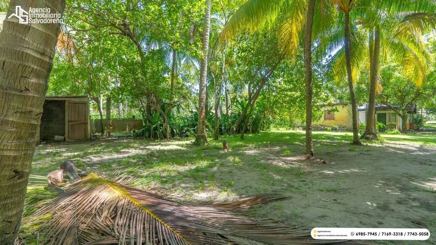 PROPIEDAD DE PLAYA EN VENTA - AMATECAMPO! - Imagen 4
