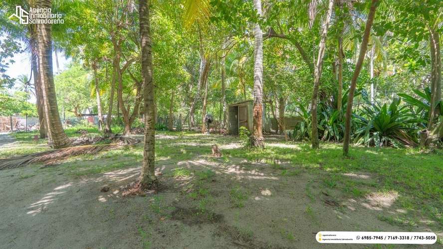 PROPIEDAD DE PLAYA EN VENTA - AMATECAMPO! - Imagen 6