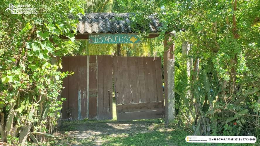 PROPIEDAD DE PLAYA EN VENTA - AMATECAMPO! - Imagen 13