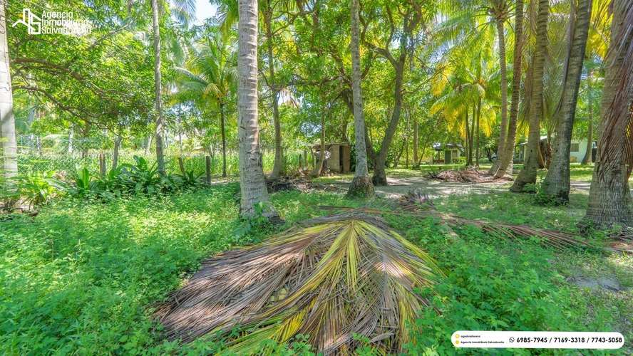 PROPIEDAD DE PLAYA EN VENTA - AMATECAMPO! - Imagen 8