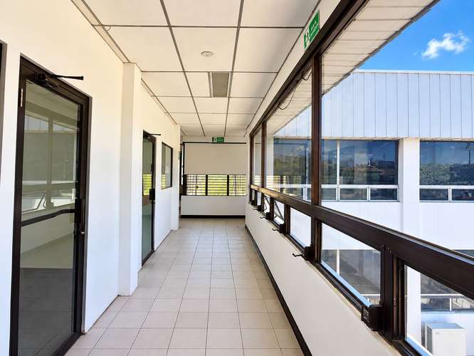 San Salvador, Av. Olímpica, alquiler o venta. - Imagen 6