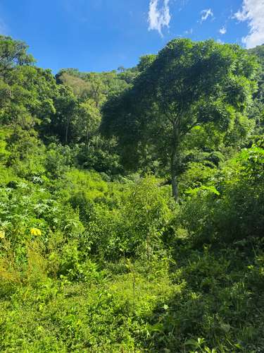 SE VENDE TERRENO 2 Mz., en zona Lago Coatepque, Santa Ana.  - Imagen 5