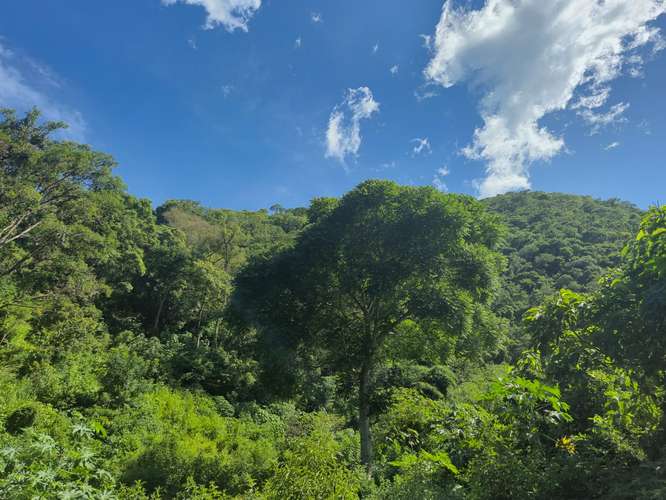 SE VENDE TERRENO 2 Mz., en zona Lago Coatepque, Santa Ana.  - Imagen 4