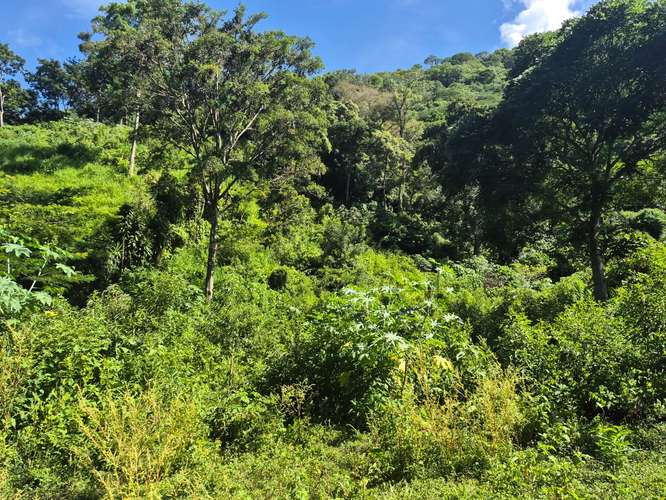 SE VENDE TERRENO 2 Mz., en zona Lago Coatepque, Santa Ana.  - Imagen 6