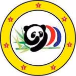 china panda light S.A zonalibre de colón