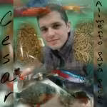 hcconcentrado.com