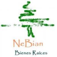 NEBIAN BIENES RAICES lic 4604