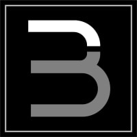 Bienes y Negocios ( BINESA )