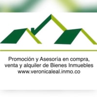 Promocion y asesoria