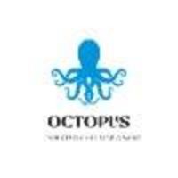 Octopus Web Design and Development