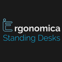 Ergonomica Standing Desk and Home Office