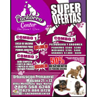 Cachorrocenter norte