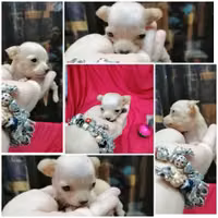 Foto de perfil de Marie CC 61847022