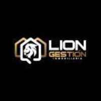 Lion Gestión & Asesoría