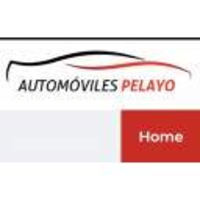 Automoviles pelayo ltda