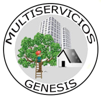 Multiservicios Genesis