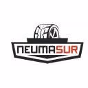 Neumaticos Neumasur