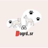 Venta de Cachorros