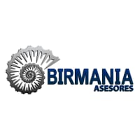 BIRMANIA ASESORES PJ1337