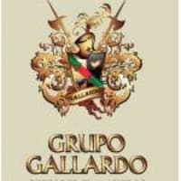Grupo Gallardo