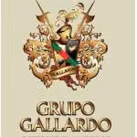 Foto de perfil de Grupo Gallardo