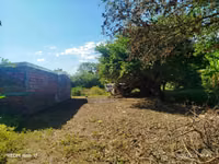 Foto de perfil de Terreno 10 por 20