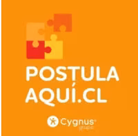 Grupo Cygnus