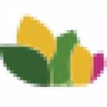 Proyecto Rincon Del Paraiso
