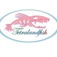 Tetralandfish