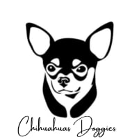 Chihuahuas Doggies