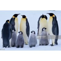 COMPUFORROS - CONFECCIONES PUBLICITARIAS.