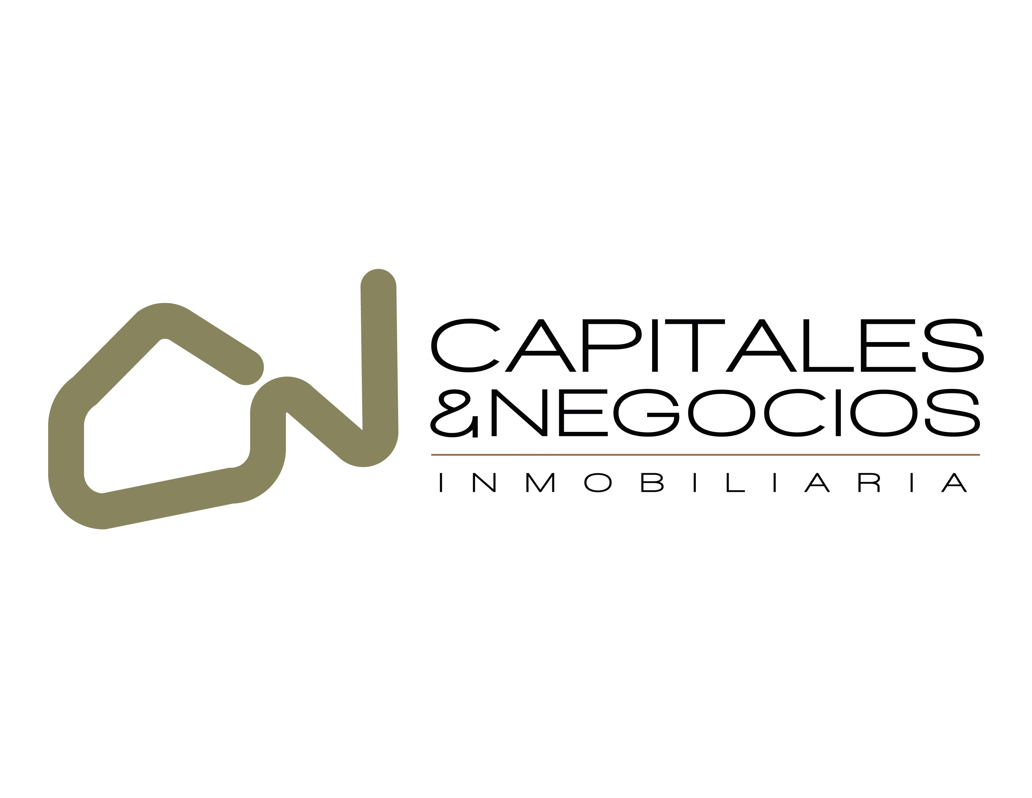 Inmobiliaria Capitales y Negocios