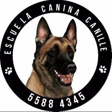 Escuela Canina Canille