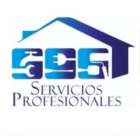Servicios Profesionales 507