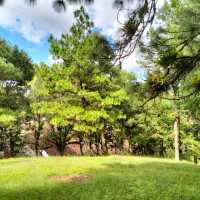 Lilian Zelaya Domínguez